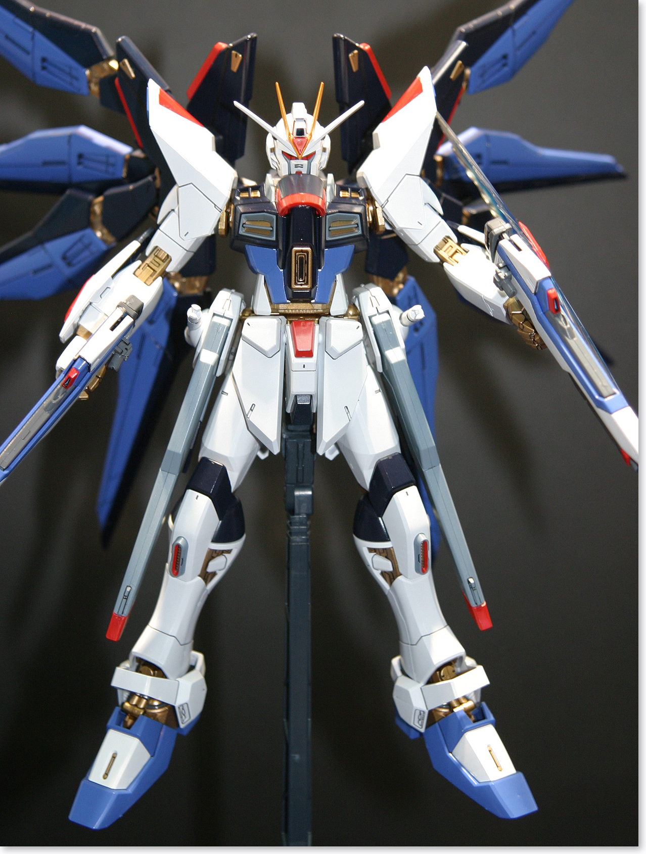 未組立【メッキ加工】MG フリーダムガンダム SEED 新品 お得な