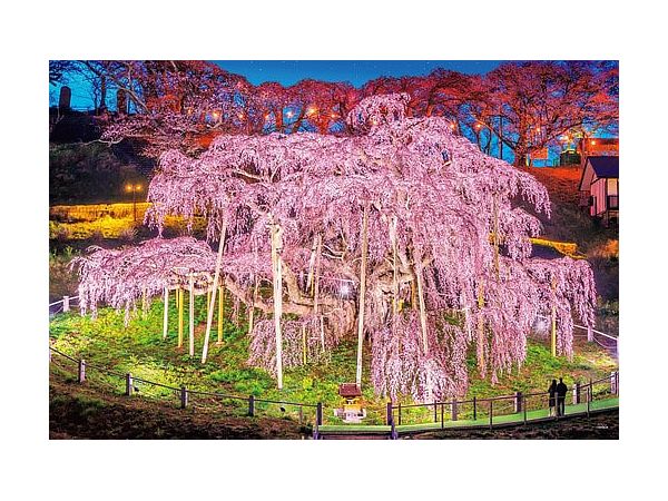 ジグソーパズル: 三春の滝桜 福島 1000ピース (50 x 75cm) | HLJ.co.jp