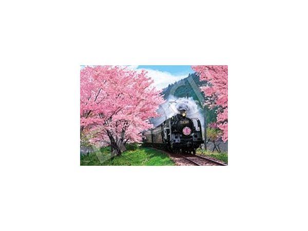 桜と大井川鐵道 - 静岡 300ピース (260 x 380mm)