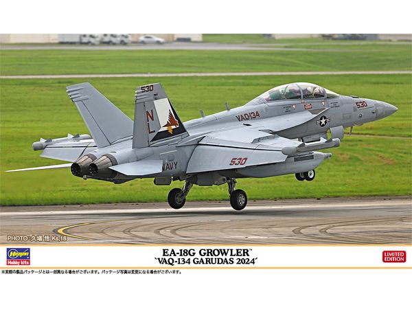 1/72 EA-18G グラウラー VAQ-134 ガルーダス 2024